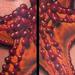 Tattoos - starfish underwater sea color leg tattoo female  - 78977